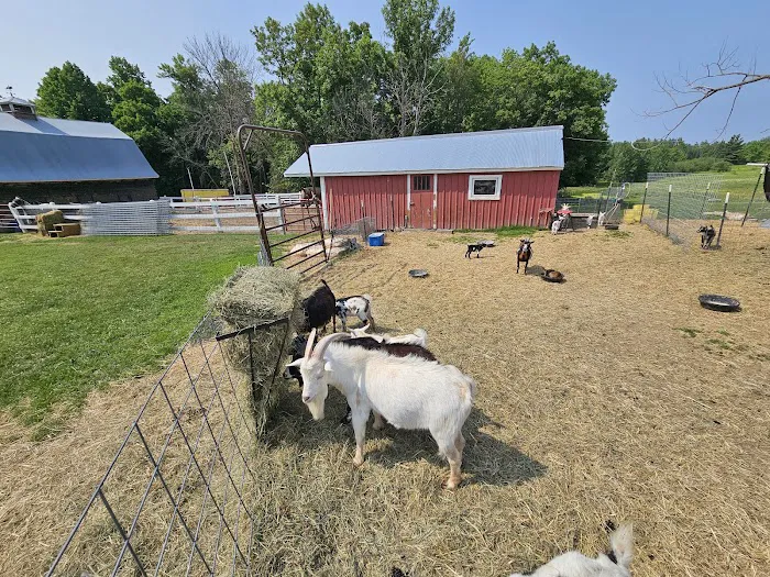 Paradise Hills - Horse Camp Picture 5