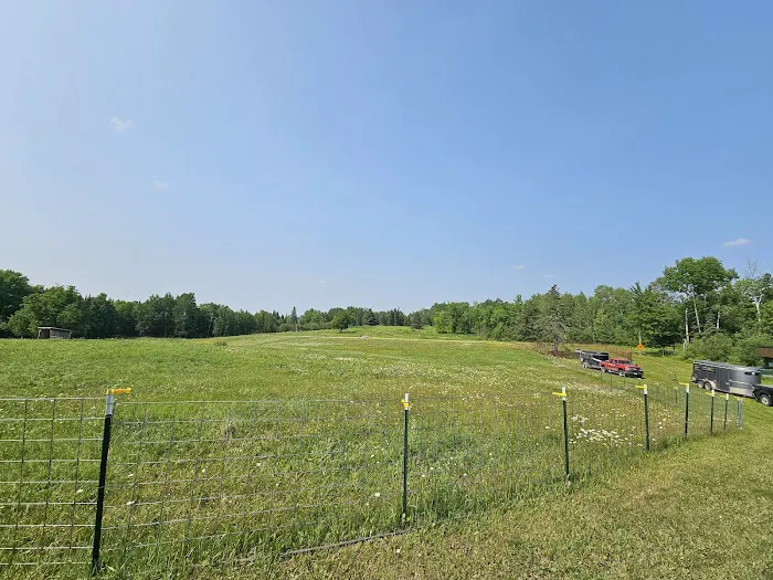 Paradise Hills - Horse Camp Picture 7