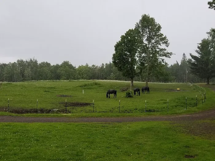 Paradise Hills - Horse Camp Picture 8