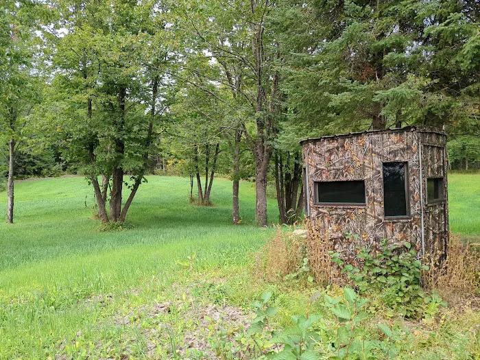 Paradise Hills - Horse Camp Picture 10