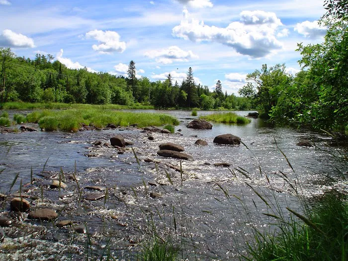 Cloquet River Campground Picture 7