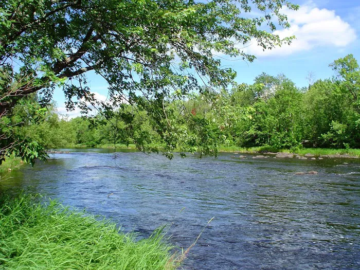 Cloquet River Campground Picture 8
