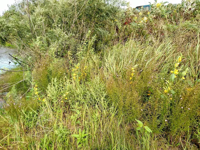 Victory Lake Campground Picture 6