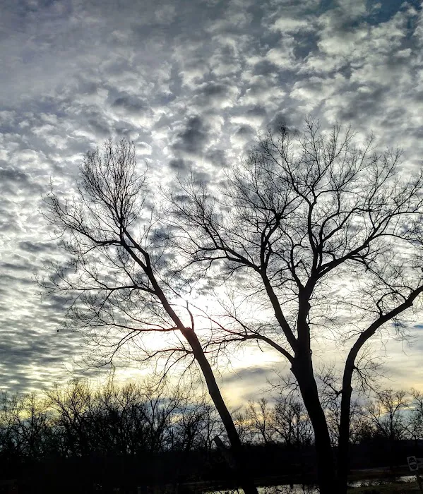 Pathfinder Campground Picture 10