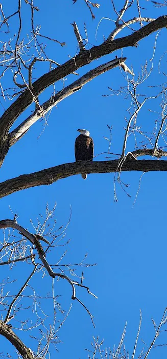 Cottonwood Campground Picture 2