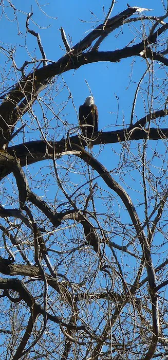 Cottonwood Campground Picture 10