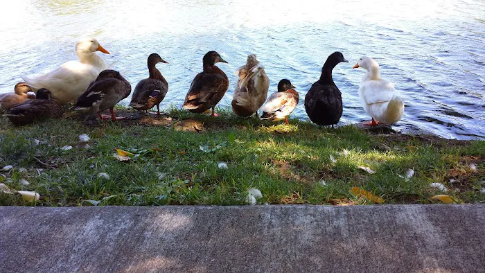 Stanton Lake Campground Picture 8