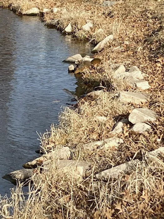 Stanton Lake Campground Picture 6