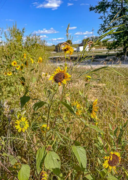 Oregon Trail Glamping and RV Park Hiawatha, KS Picture 1