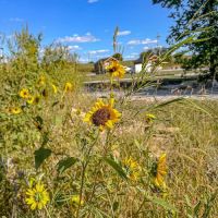 Oregon Trail Glamping and RV Park Hiawatha, KS ico