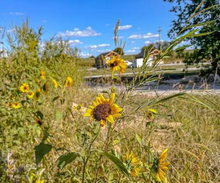 Oregon Trail Glamping and RV Park Hiawatha, KS