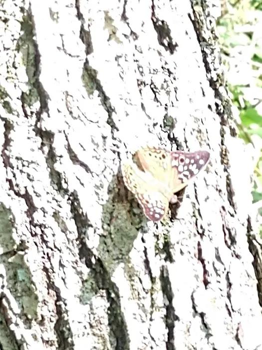 Grindstone Reservoir Picture 1