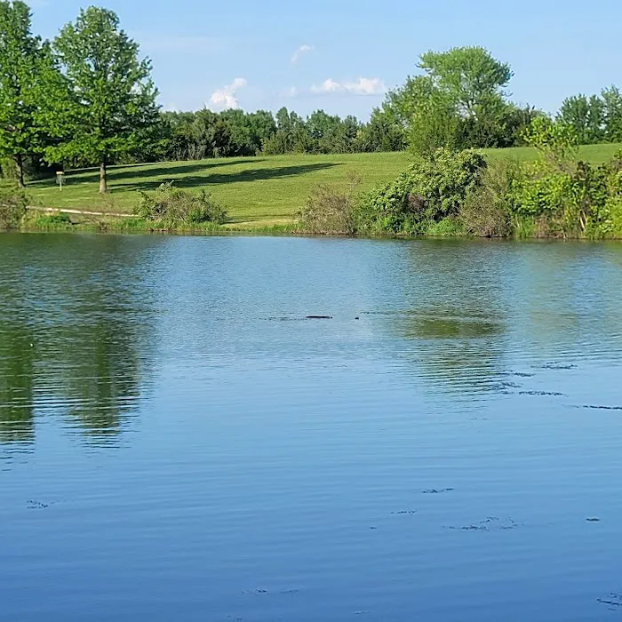 Lakeview Campground and RV Park Picture 3