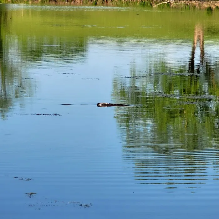 Lakeview Campground and RV Park Picture 5