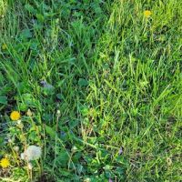 Victor Park Campground ico