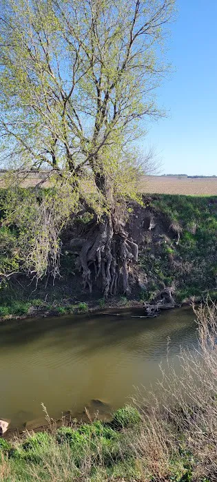 Victor Park Campground Picture 5