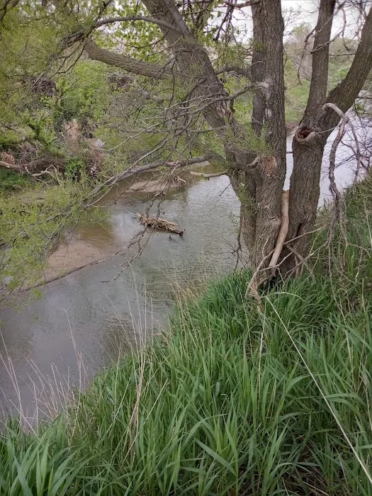 Victor Park Campground Picture 8