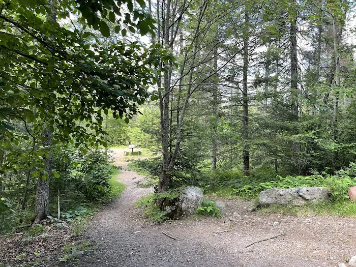 Sullivan Lake Campground Picture 1