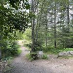 Sullivan Lake Campground