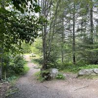 Sullivan Lake Campground ico