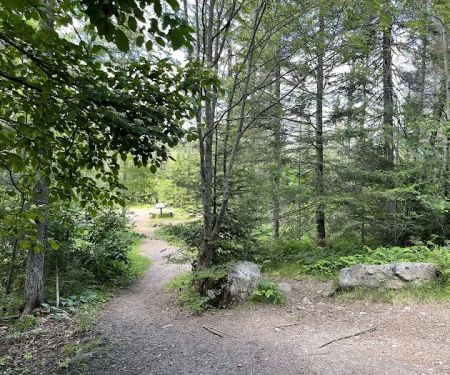 Sullivan Lake Campground