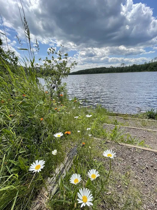 Sullivan Lake Campground Picture 2