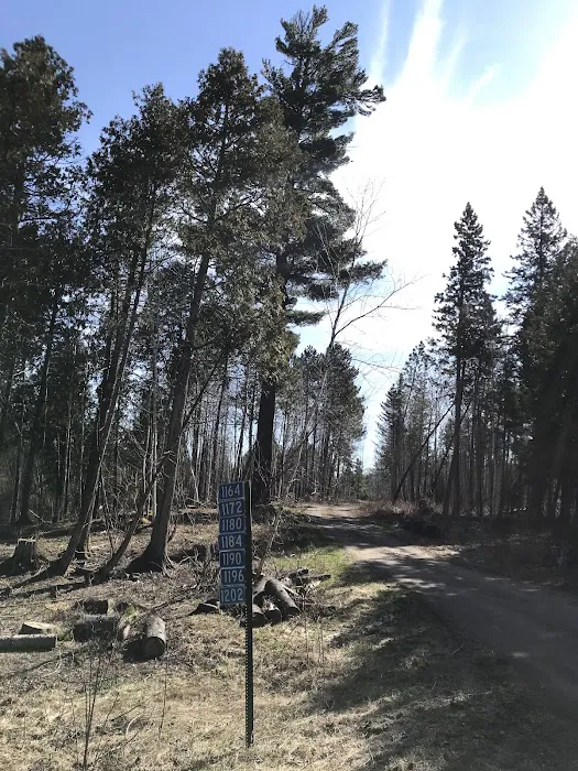 Sand Lake Rustic Campground Picture 5
