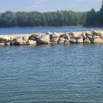 Sherwood Forest Campground