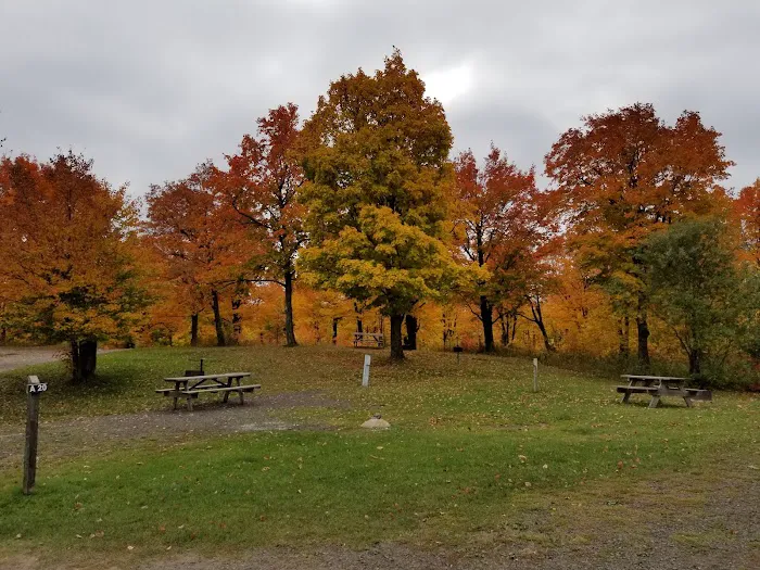 Sherwood Forest Campground Picture 6