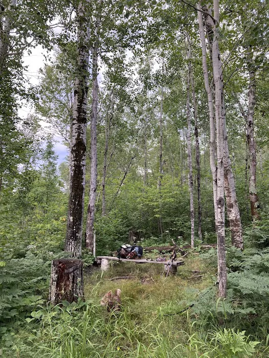 Beaver Pond Camp Picture 2