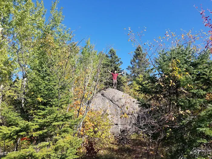 Beaver Pond Camp Picture 6