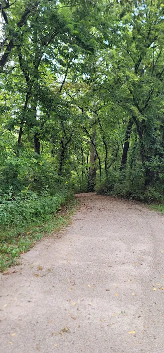 Lake Miola Campgrounds Picture 8