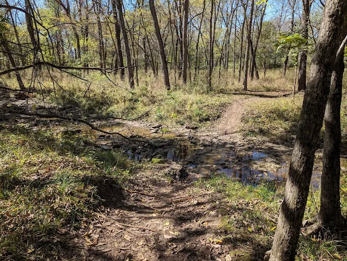 Jacomo Campground Picture 4