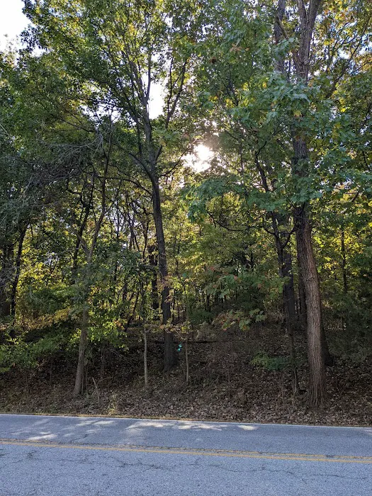 Jacomo Campground Picture 10