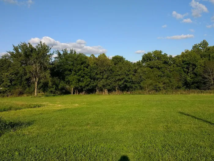 Powell's Creekside Haven Picture 6