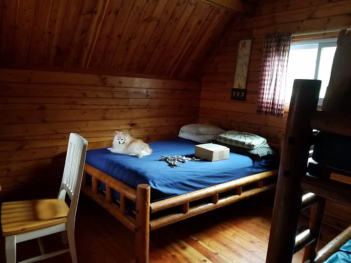 Kansas City East / Oak Grove KOA Holiday Picture 4