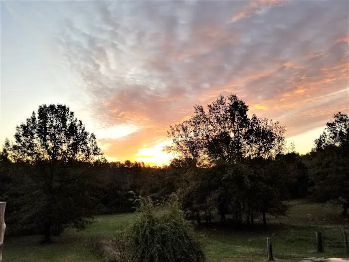 Milo Farm - Retreat Center, Campground, Sacred Land Picture 9