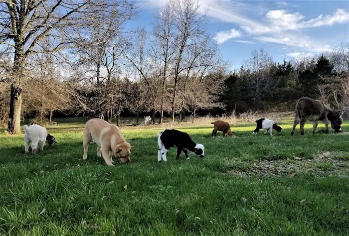 Milo Farm - Retreat Center, Campground, Sacred Land Picture 5