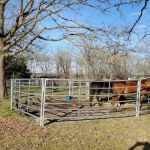 Pomme de ridge horse camp and campground