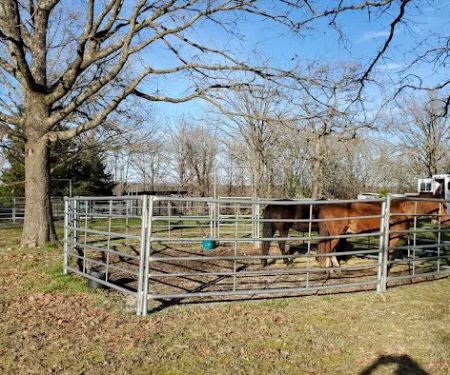 Pomme de ridge horse camp and campground