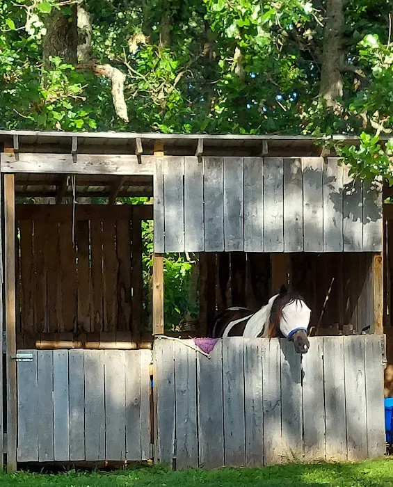 Pomme de ridge horse camp and campground Picture 4