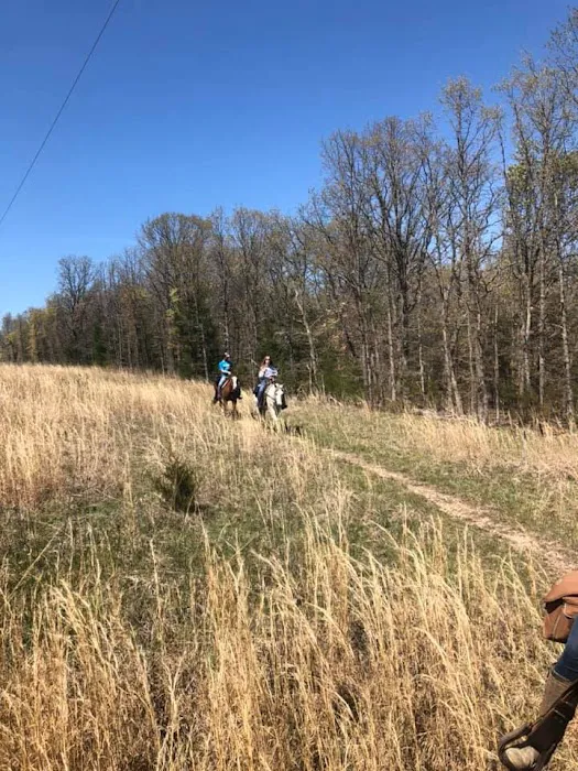 Pomme de ridge horse camp and campground Picture 8