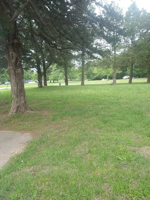 Lightfoot Park Picture 2