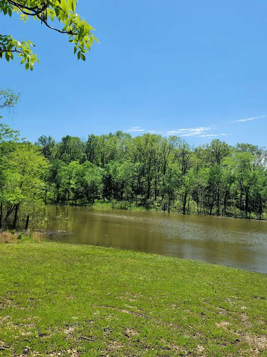 Lightfoot Public Use Area Picture 2