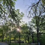 Lightfoot Public Use Area