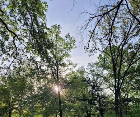 Lightfoot Public Use Area