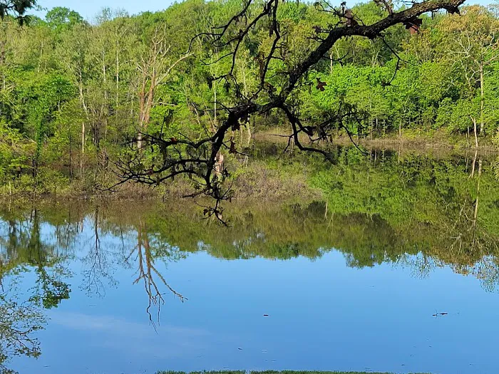 Lightfoot Public Use Area Picture 4