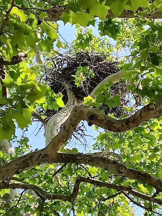 Needmore RV & Campground Picture 8