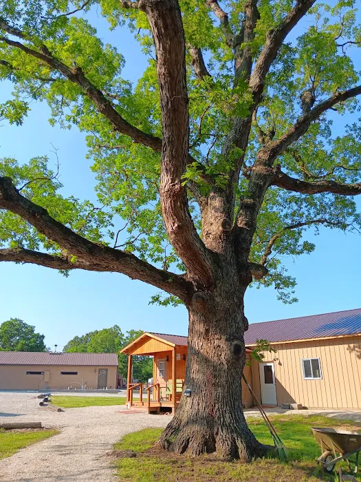 Needmore RV & Campground Picture 5