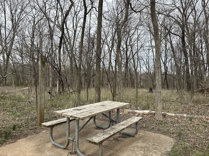 Stockton State Park Campground #1 Picture 8